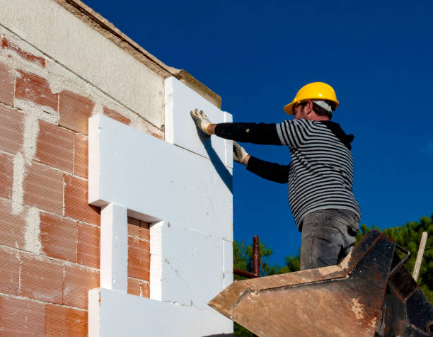 Best DIY Insulation Kits and Guidance in Otsego, MI