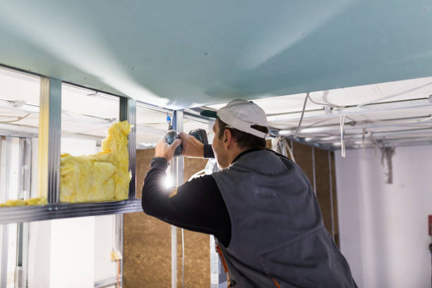 Best Geographic-Specific Insulation Services in Otsego, MI